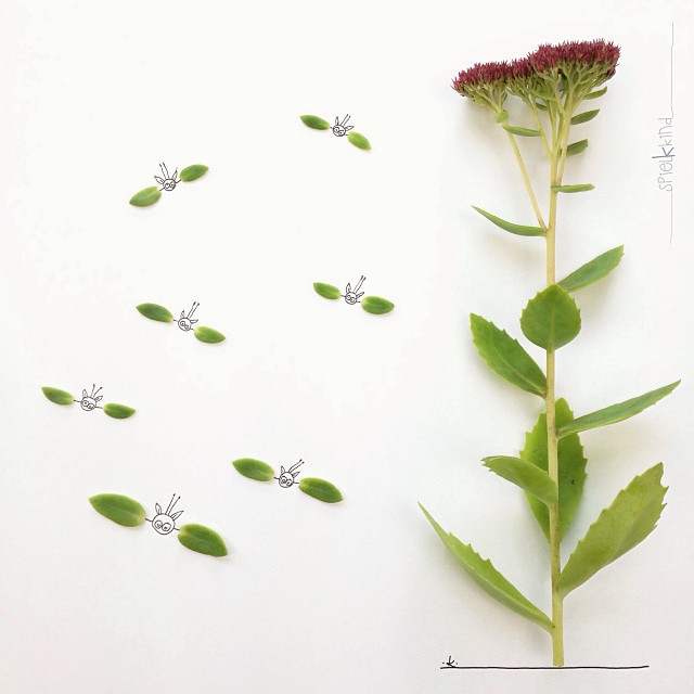 Spielkkind flower adventure illustration
