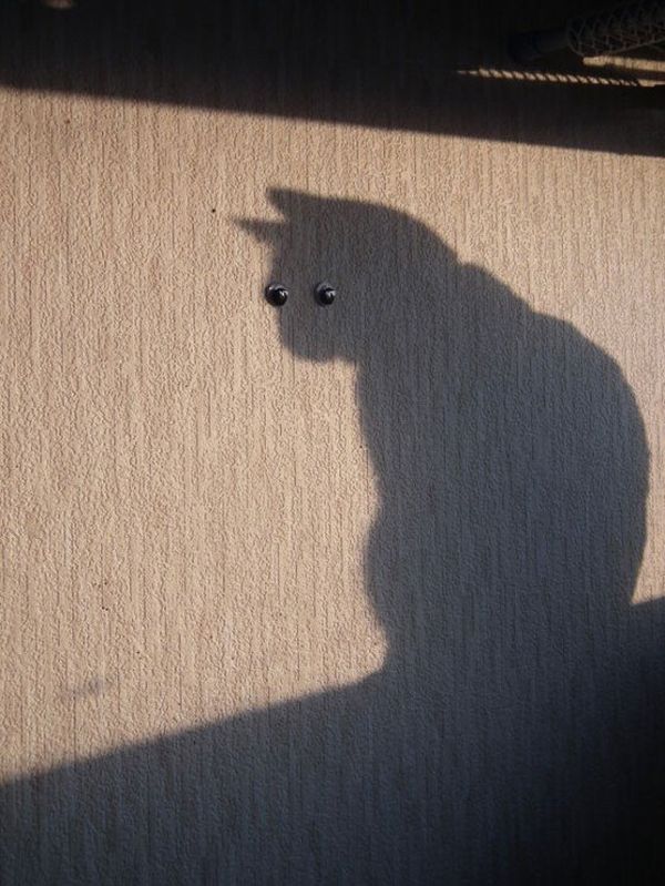 Ironic perfectly timed photo