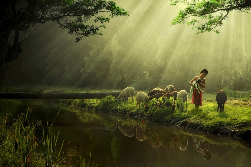 Ipoenk Graphic portrait of everyday Indonesian life