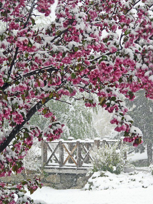 winter wonderland05