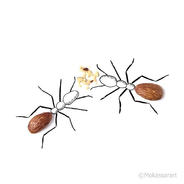 mokassarart11