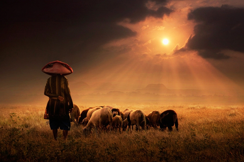 Rural Indonesia photographed by Ipoenk Graphic