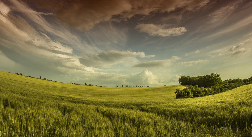 Open landscape vista