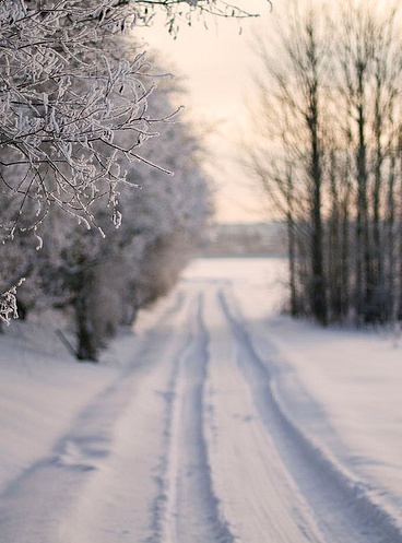 Winter view