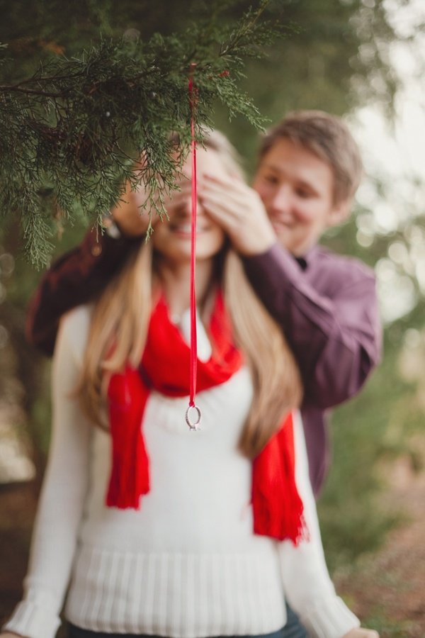 Holiday lights and ornaments
