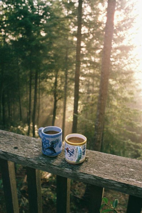 Coffee and morning light