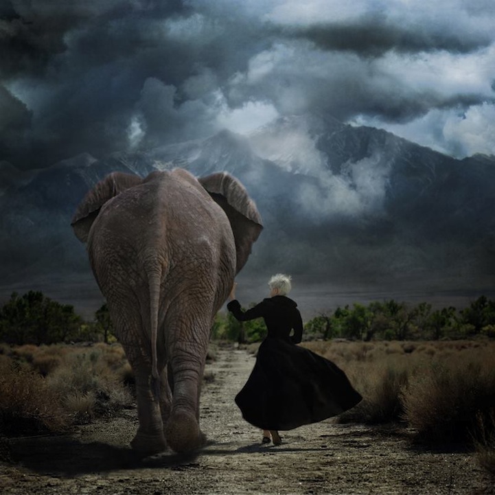 Trini Schultz dreamlike fine art photo