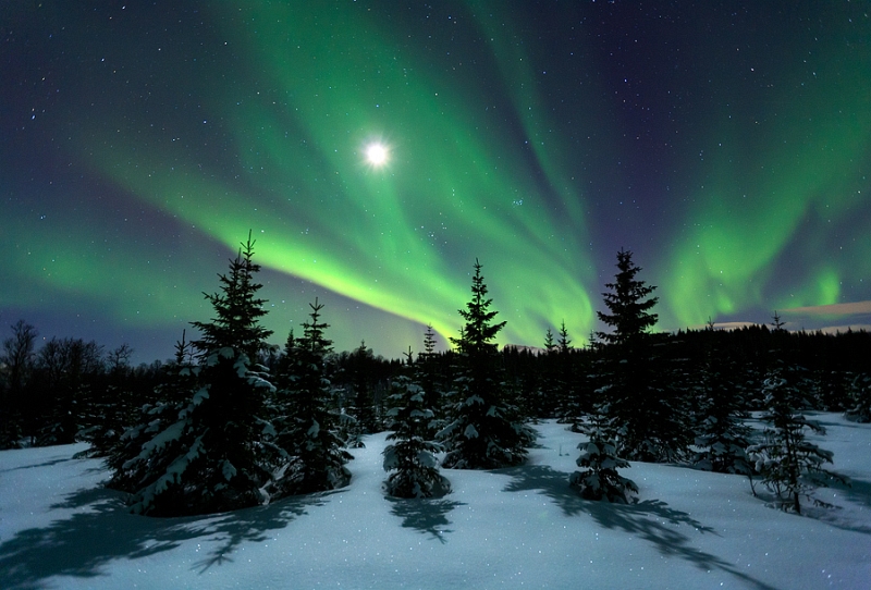 Arild Heitmann04