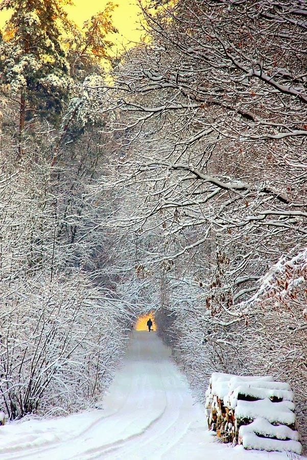Snowy outdoor winter frame