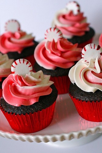 Holiday cupcakes with festive toppings