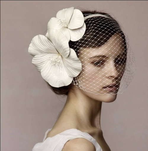 Simple birdcage veil for a short wedding dress