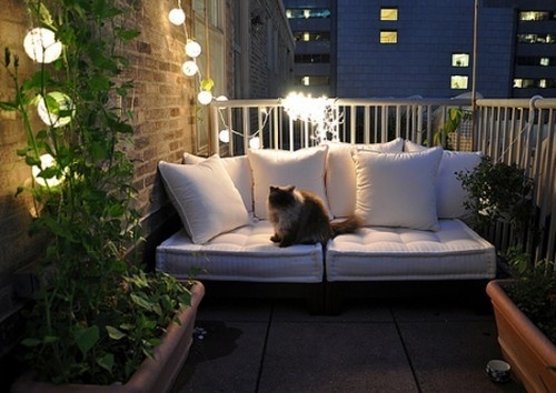 Balcony with potted plants and seating