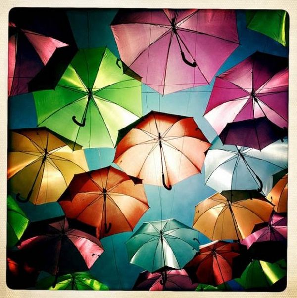Looking up through a dense umbrella canopy