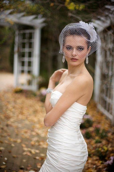 Birdcage veil idea for stylish brides
