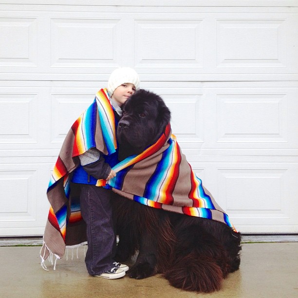 Warm portrait of boy and Newfoundland
