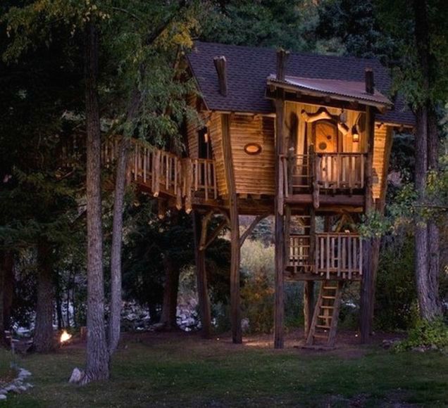 Tree house exterior among foliage