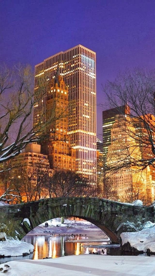 New York winter city view