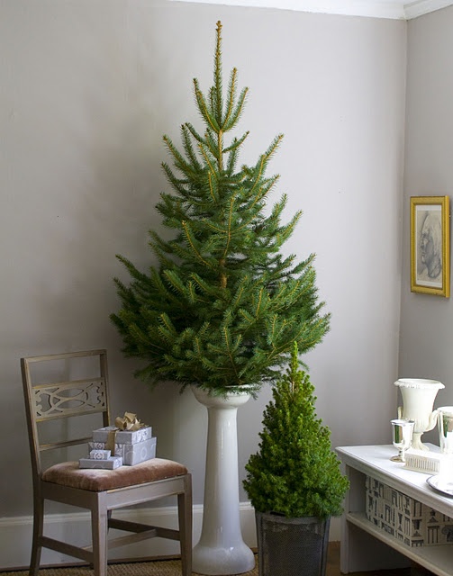 Small holiday tree example