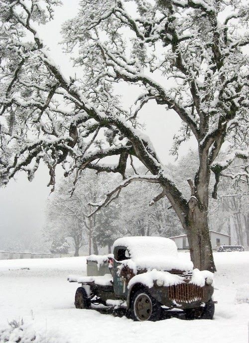 winterscapes45