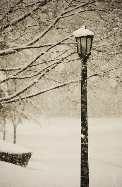 Winter path scenery