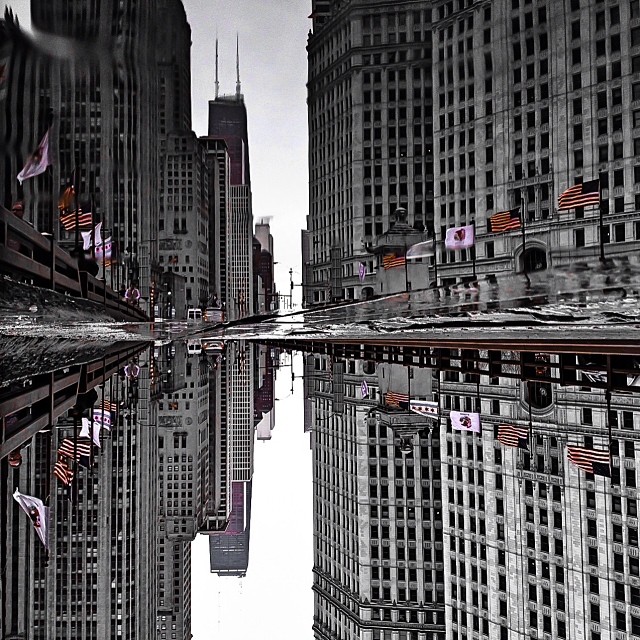 James Roach puddle photograph