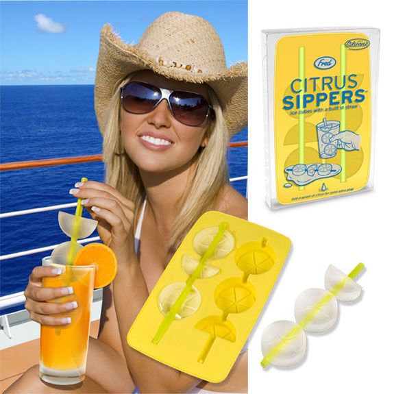 Citrus Sippers ice cubes frozen onto reusable straws