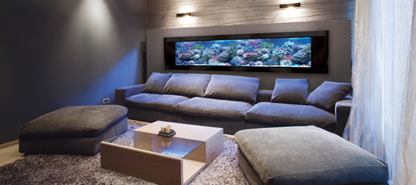 in-wall-aquariums04