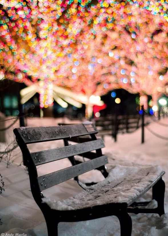 Vertical winter scene