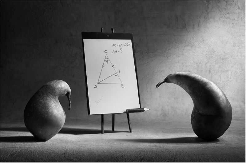 Conceptual still life photograph