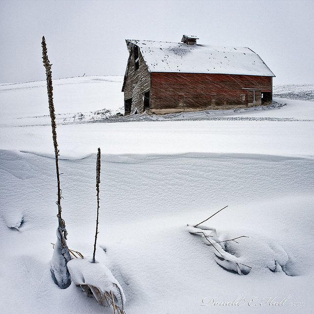 winterscapes31
