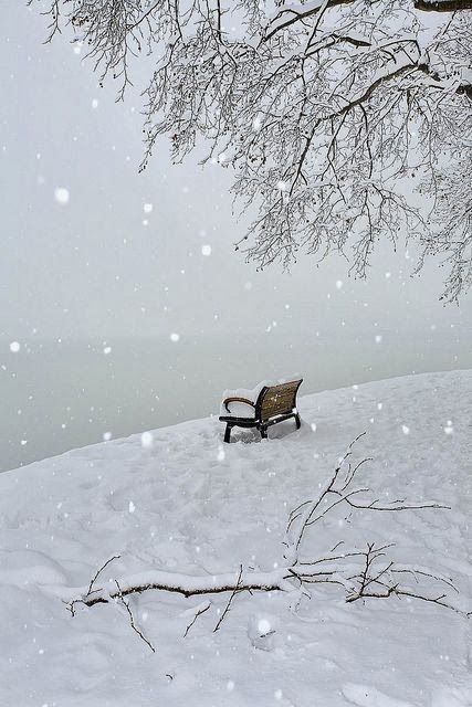 Winter scenery photo