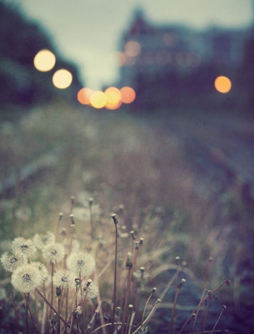 Creative bokeh photography