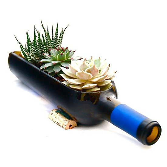 Bottle garden structure