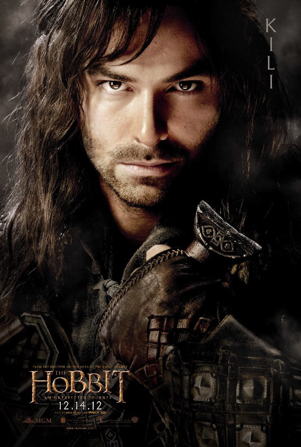 Hobbit character poster