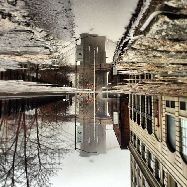 Puddle reflection by Melissa