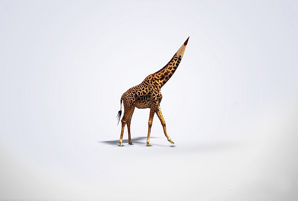 Faber-Castell True Colours advertising still
