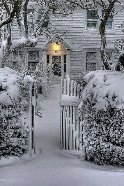 Winter photograph