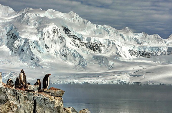 Smithsonian Magazine 10th Annual Photo Contest finalist image