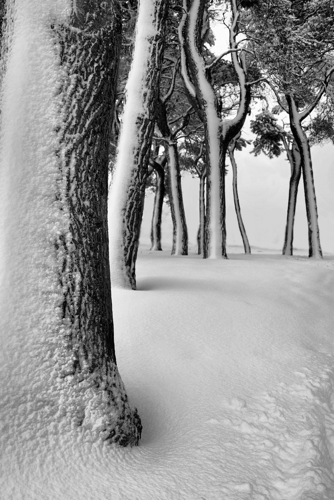 winterscapes23