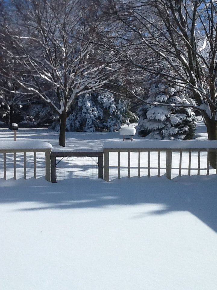 winterscapes09