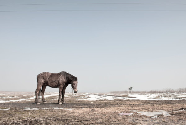 Final Romania landscape by Darran Rees