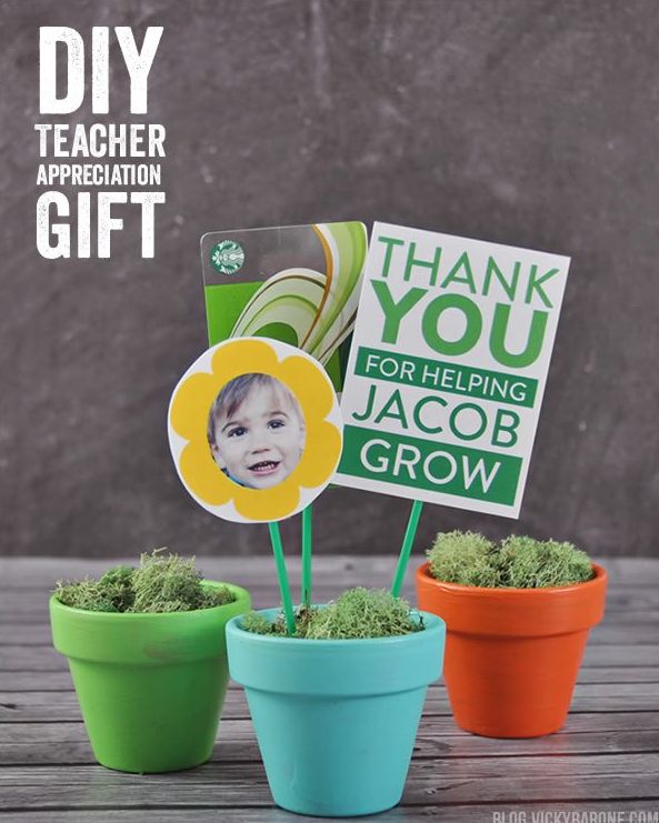 teacher007