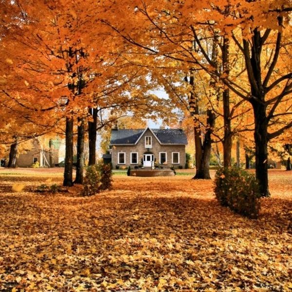Autumn color landscape