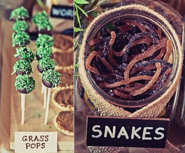 Jungle themed cookies and sweets
