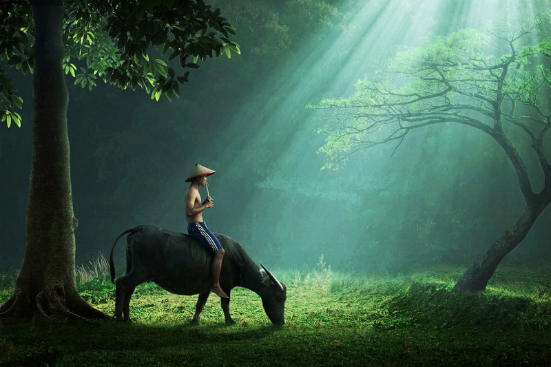 Sunlit scene photographed by Sukron Ma’mun