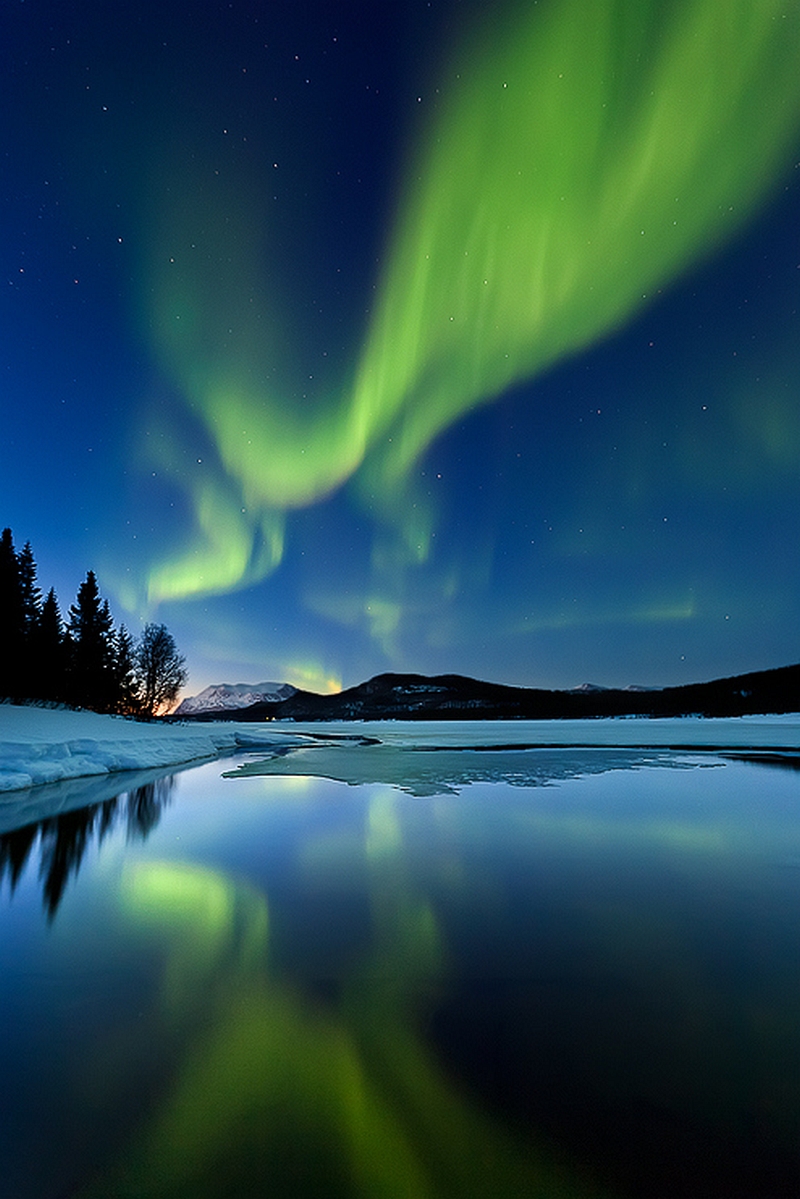 Arild Heitmann05
