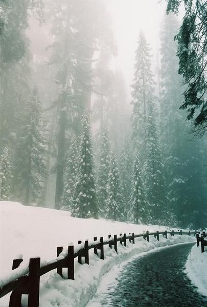 Snow landscape frame