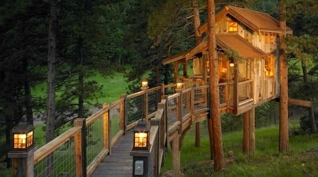 Tree house with open views