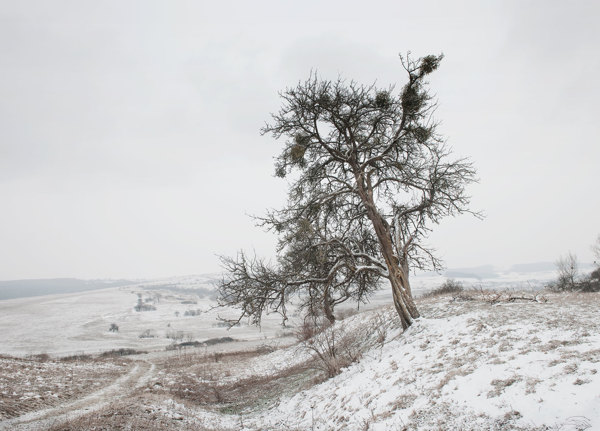 Romanian landscape light by Darran Rees