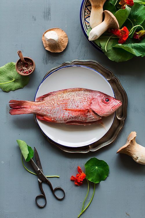 Styled food photography